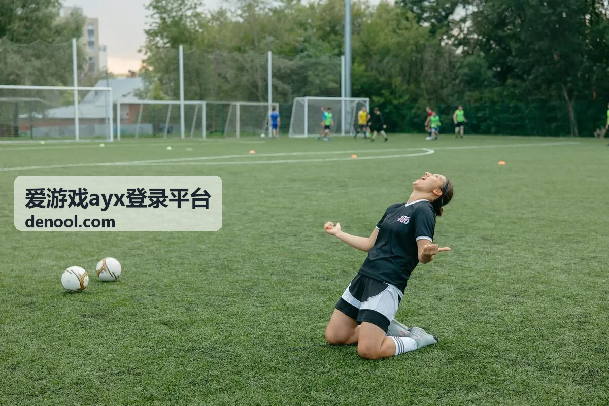 爱游戏ayx登录平台多设备使用场景