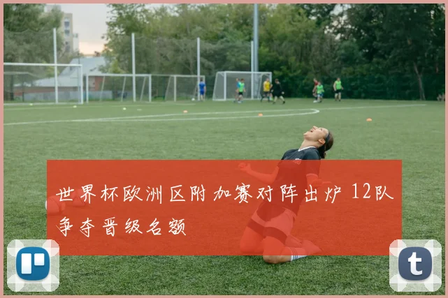 世界杯欧洲区附加赛对阵出炉 12队争夺晋级名额