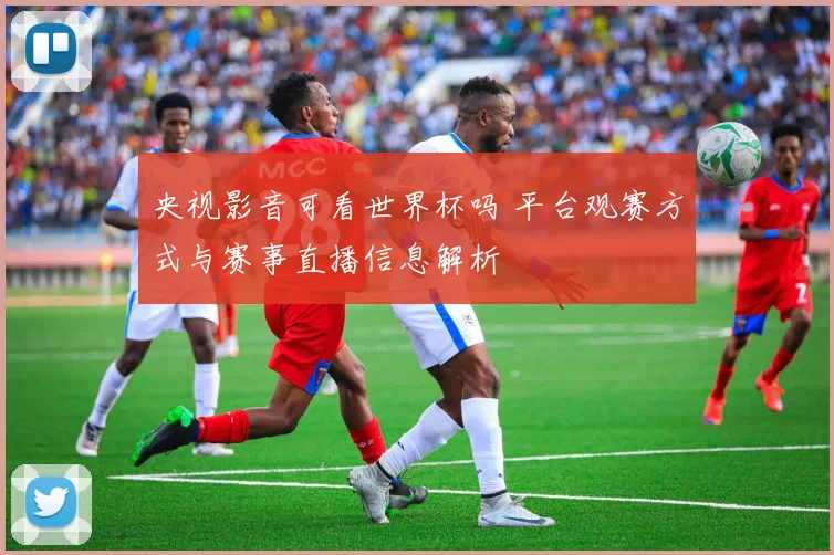 央视影音可看世界杯吗 平台观赛方式与赛事直播信息解析
